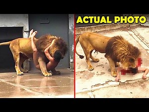 If These 20 Zoo Moments Were Not Filmed, No One Would Believe It