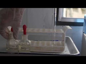 Kết tủa protein bằng TCA