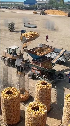 Corn Stacking and Storage Process