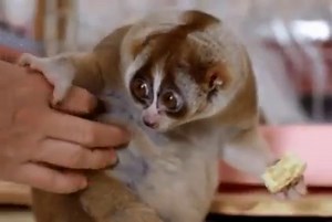 When your coworker tries to ask you a question while you're eating. | GIPHY