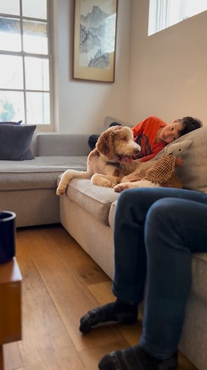 A boy and his service dog… nothing sweeter than this. Even if it means picking up poop.❤️🐾😂 #servicedog #teamwork #environmentallyfriendly #washingtondc | Highland Canine Service Dogs