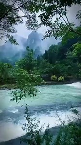 Nature #Nature #Facebookreels | Nature's and Gif