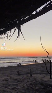 Adiós 2024, pero desde Acapulco Mágico 🌊💯🔴 Video: Kevin-carbajal5 | Noticias de Acapulco
