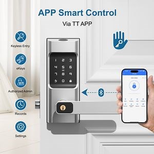 [Hot Item] Digital Ttlock Intelligente WiFi Security Wireless Password Keyless Entry Fingerprint Combination Smart Door Lock