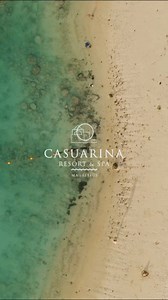 Casuarina Resort & Spa – Trou aux Biches, Île Maurice 🌴 Niché au cœur d’un jardin tropical vibrant, face au lagon turquoise… ✨ Le Casuarina vous invite à ralentir et savourer l’instant. 🏖️ Plage privée, piscines, spa balinais, chambres chaleureuses et cottages familiaux… 🍽️ 3 restaurants pour voyager aussi dans l’assiette. 👨‍👩‍👧‍👦 Un lieu pensé pour se détendre, s’amuser, se retrouver. 📍 Réservez dans l’une de nos 5 agences sur l’île pour des tarifs exclusifs. _______________ Agence de v