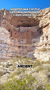 Montezuma Castle National Monument, Camp Verde, AZ #nicolefordphotography #nicoleford #arizonalife #arizona #azlife #ilovearizona #explorepage #adventure #photooftheday #instagood #explorearizona #arizonahiking #landscape #usa #usareels #saguaro #roadtrip #landscapephotography #visitarizona #ArizonaTravel #arizonaliving #arizonahiking #fypシ #fypageシ #nps #NationalParks | Nicole Ford Photography