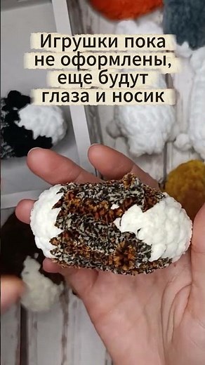 Морские свинки
