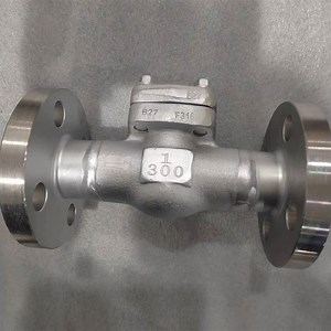 [Hot Item] API 602 F316 Body Trim ASTM F316 RF Flanged Ends Piston Check Valve