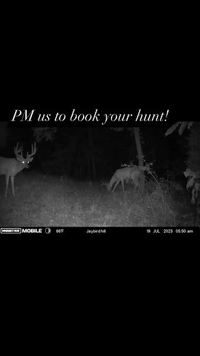 Climb in my bed and I will take you for a ride!!! | Trophy Room Adventures