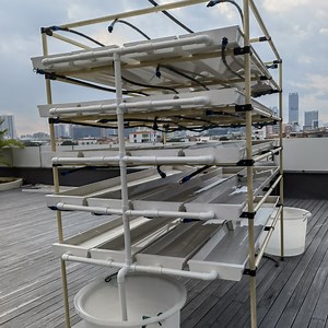 [Hot Item] Fodder Grass Growing Tray Fodder System Hydroponic Tray