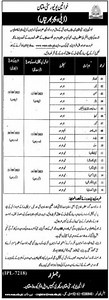 Women University Labor Posts Multan 2023 #govtjob #jobs #latest #pakistan #punjab #multan | Govt Jobs In Pakistan Hunny