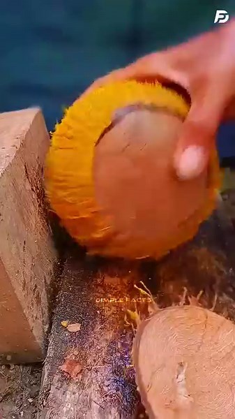 How to Remove Coconut from Shell Easily 🥥🔥 | Life Hack