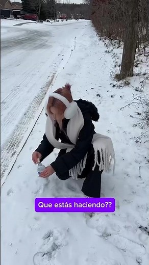 When I first met snow 🤣🤣 #snow #comedy #humor