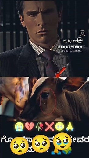 most popular search engines