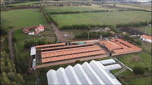 ¡La música une y transforma! Gracias a Camila y su increíble talento, hoy podemos dar a conocer la canción que concientiza sobre la lucha contra la anemia. Desde Ayacucho, su voz resuena con fuerza. ¡Juntos podemos marcar la diferencia! #músicaconcausa #ayacuchosinanemia #anemia #Camila #JulioGaray | Julio Garay Barrios