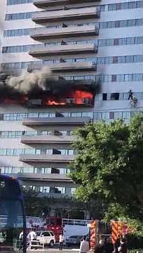 Firefighter Completes Rescue of Person Hanging Off Burning High-Rise in LA