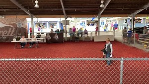 Lucas Bernard and his sheep compete in the Lead-In Contest Friday afternoon at the Garrett County Fair. | Garrett County Republican