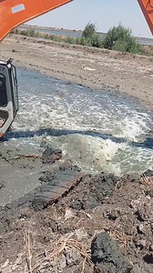 636K views · 3.4K reactions | Samer Monier on Reels | Facebook