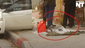 1.3M views · 11K reactions | A man carrying assault rifles to a gay pride parade was arrested in California | NowThis | Facebook