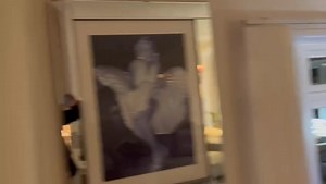 103K views · 3.4K reactions | Paddy Doherty Site on Reels | Facebook