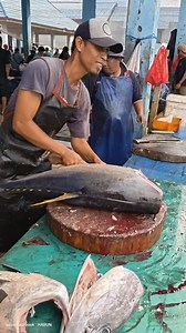 378K views · 1.8K reactions | Tuna Fillet with simple tools #tunacutting #seafood #tunaFillet #cokingvidio #reels #fyp #sorotanpublik #highlight #fishmarket | Harun | Facebook