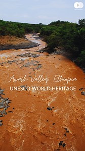 UNESCO WORLD HERITAGE SITES - Awash Valley, Ethiopia 😍 #AwashValley #Ethiopia #AfricanHeritage #AwashRiver #WildlifeSafari #EthiopianHistory #RiftValley #TravelAfrica #UNESCOWorldHeritage #EthiopianWildlife | Herr Translator: Explore and Inspire