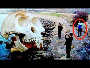 13 Strange Post-Tsunami Findings