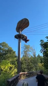 We want to thank the many guests and Zoo members who sent us video and photographs from the orangutan habitat as they have been instrumental in helping us better understand how Kembali, the male orangutan was able to climb down the tower and access the area just outside the habitat. We are also grateful to Zoo staff and volunteers for their quick actions once they were notified of the incident. After reviewing video footage and photographs from both the Toronto Zoo and guests from August 29th, o