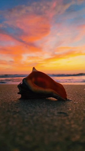 #goodmorningsunshine #beautifulskytoday #niceshells #shells #beachcombing #beachwalks #cocoabeach | Mindy Tucker
