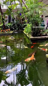 57 reactions | Instant mood lift, courtesy of Bal Harbour Shops. | Bal Harbour Shops | Facebook