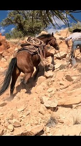 Hatem Settin on Reels