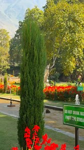 Tum Akele To Kabhi Baag Mein #nashatgardan #Kashmir | Nature Explore
