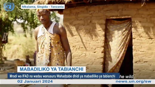 Miongoni mwa jamii hizo ni Wahadzabe, kabila hili lililoko nchini Tanzania. Jamii hii hutegemea uwindaji pekee msituni ili kupata chakula, lakini athari za mabadiliko ya tabianchi yameathiri upatikanaji wa chakula hicho. Umoja wa Mataifa kwa kutambua changamoto hiyo, ukachukua hatua mara moja ili kuepusha zahma. Je hatua gani imechukuliwa? Hiyo basi ndio mada yetu kwa kina hii leo kama inavyoletwa kwako na Evarist Mapesa kupitia video iliyoandaliwa na Mfuko wa Umoja wa Mataifa wa Maendeleo ya Ki