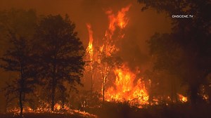 Early, widespread wildfire activity predicted in Arizona's 2021 wildfire season outlook