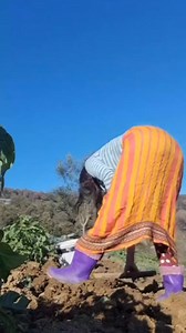 18K views · 92 reactions | La femme kabyle 殺 #Respect #femmesfortes #femmetendance #femmesentrepreneures #femmedz #kabylienne #algerienne #kabylie #kabyledefrance #kabyle_dz #kabyles #algerie #alger #algerian #women #loveyou #love #maman #soeurs #sisters #fillette #الجزائريات #عيد_المرأة #المرأة #النساء | Azeffoun.com - ⴰⵣⴻⴼⵓⵏ | Facebook