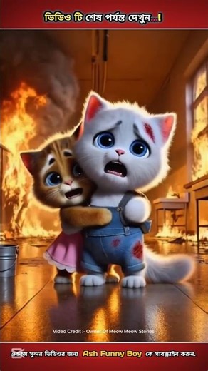 স্কুলে ভয়ংকর আগুন লেগে টমি ও মিনু আটকা পরে যায়...! 😭😭 #shorts #aicat #catcute #catlover