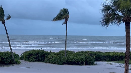 Waving hello from the blustery and wet but still beautiful Sanibel Island. #sanibelisland #rainyday | Sundial Beach Resort & Spa