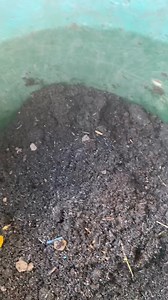 Victoria Farm on Reels