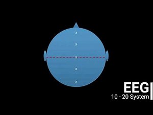 EEG Electrode Placement