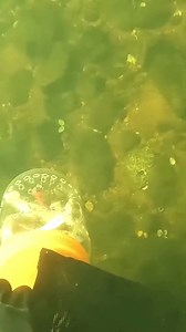 3K views · 107 reactions | #underwater #scubadiving #treasure #fyp | Underwater Exploration | Facebook