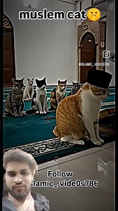 Allah ki karisma 🥰🕌❤️ subhanallah Alhamdulillah #darood #trending #youtubeshorts