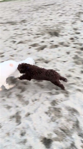 Some more beach time. #beachsunset