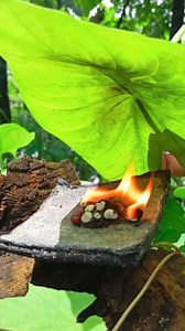 Fire with toy bullets ❤️ #camping #experiment #survival #outdoors #skills #survival_bogura #shorts #reels #fbreels @ [384399471053940:49210:@top fans] | Survival Bogura