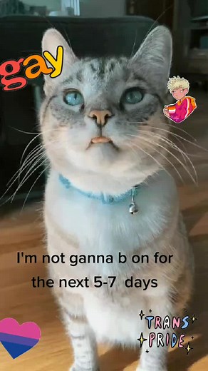 lil dummy❤ (@lil_idiot04)’s videos with original sound - Samantha