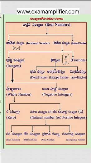 Number System Classification – Full Chart in One Image Real Numbers