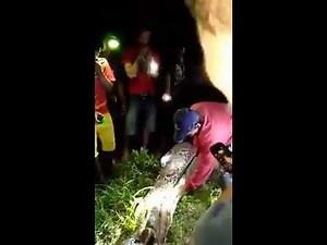 Akbar Salubiro, Python