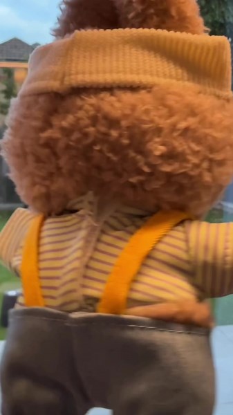 Labubu Macarons Unboxing Experience