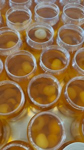 อยากมีแบรนด์เป็นของตัวเองทักหาแอดมินได้เลยค่า 😍 | น้ำลำไยสด บางแสน - ราคาปลีกส่ง