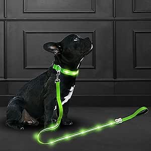 Led Dog Leash Rechargeable Waterproof 1000 ft Night Visibility LED Dog Leash - Padded Double Traffic Handle |10hr Battery Life, USB-C Quick Charging Light | Heavy Duty Durable Quality (Green)