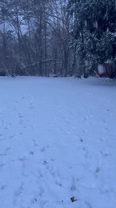 2K views · 114 reactions | Emerson loves her SNOW!! She would love...